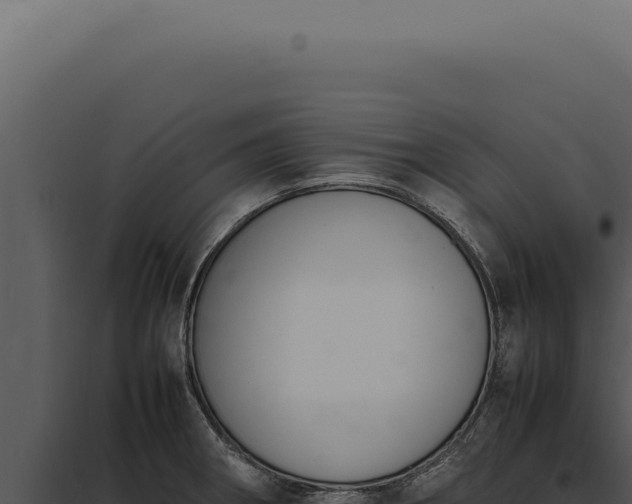 X0000097981282200804011736