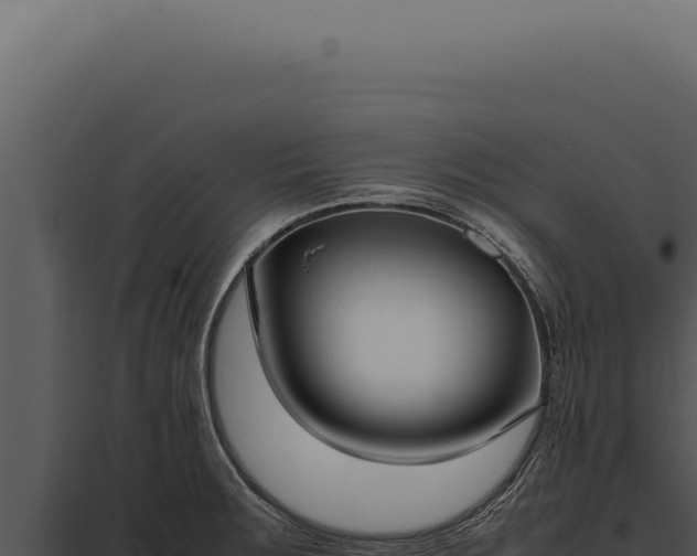 X0000097981283200804011736