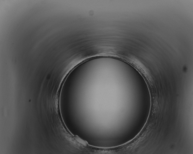 X0000097981284200804011736