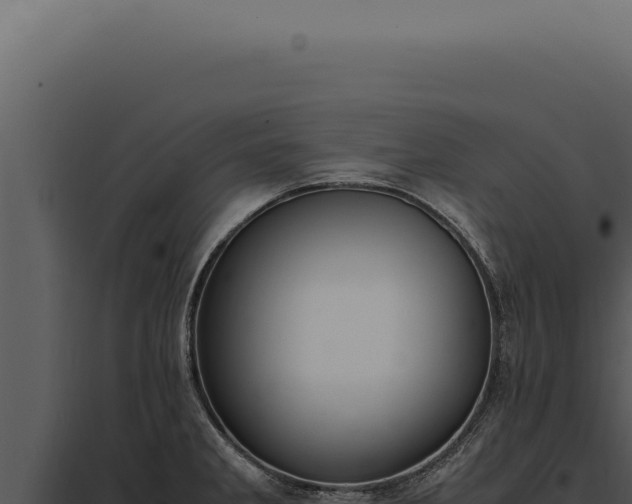 X0000097981285200804011736