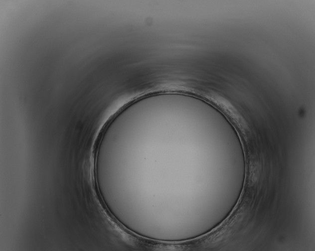 X0000097981286200804011736