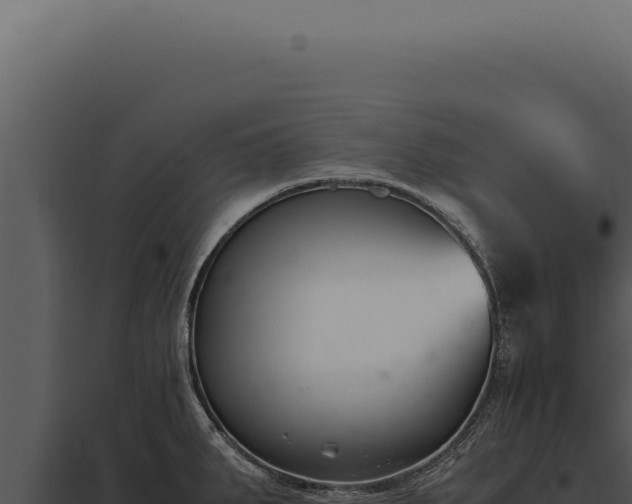 X0000097981287200804011736