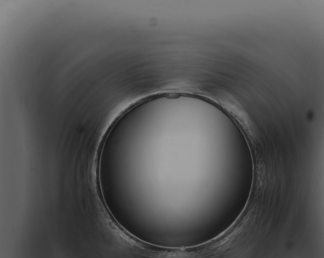 X0000097981288200804011736