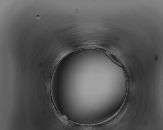 X0000097981289200804011736