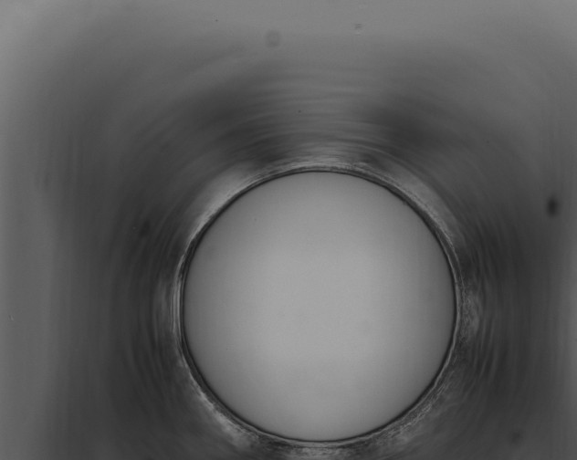 X0000097981290200804011736