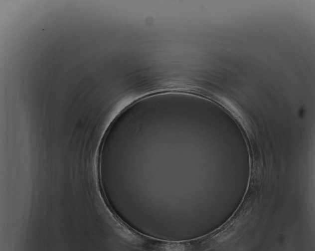X0000097981291200804011736