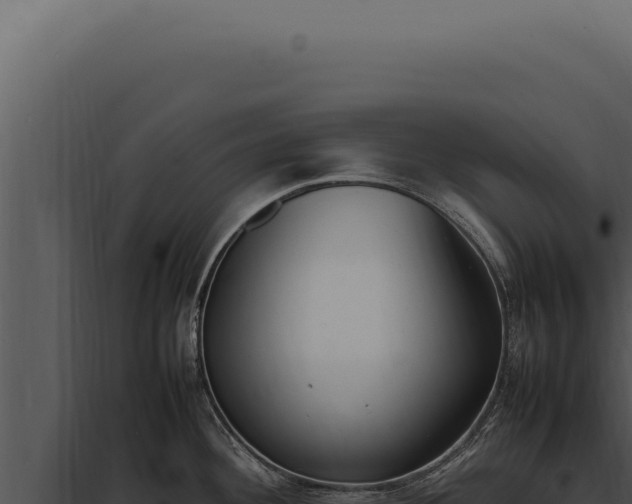 X0000097981292200804011736