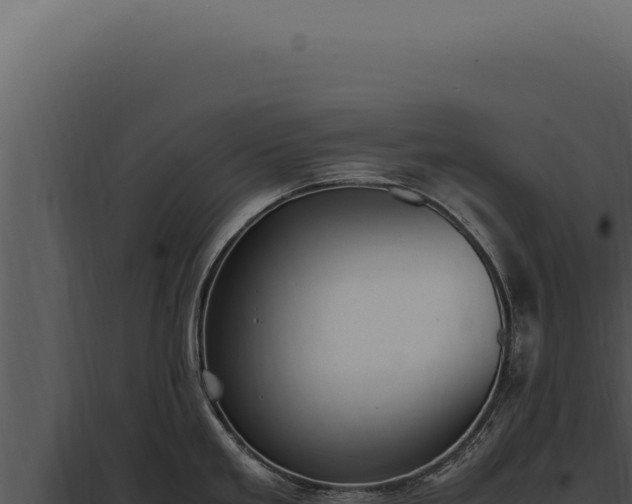 X0000097981293200804011736