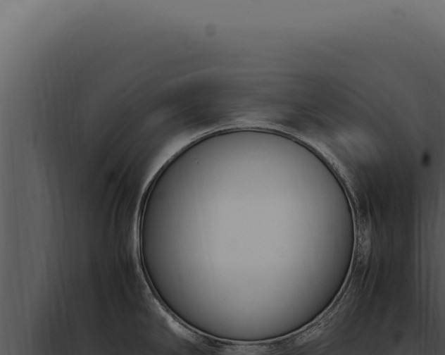 X0000097981294200804011736