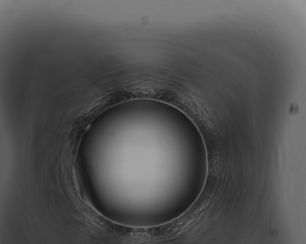 X0000097981297200804011735