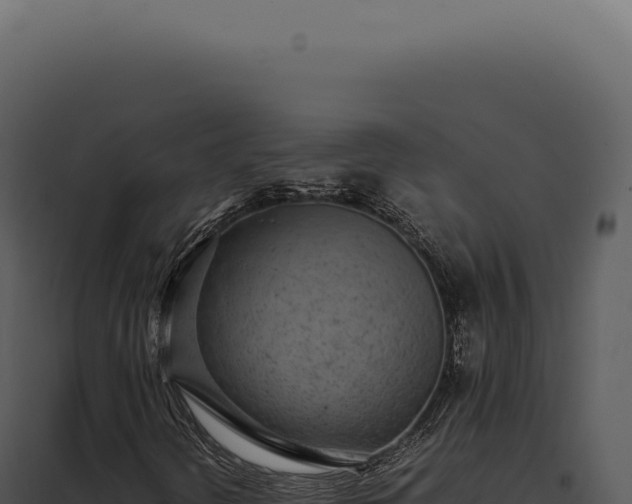 X0000097981298200804011735