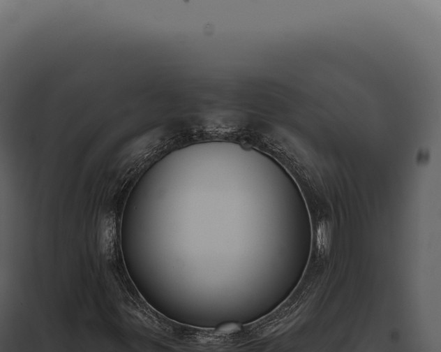 X0000097981299200804011735