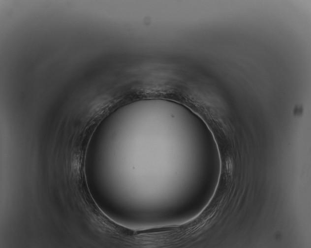 X0000097981300200804011735
