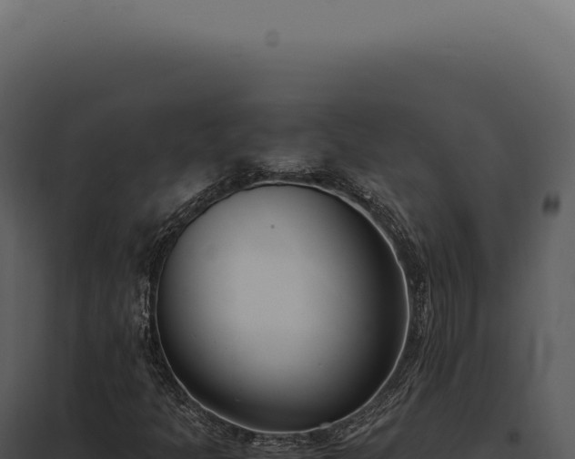 X0000097981301200804011735