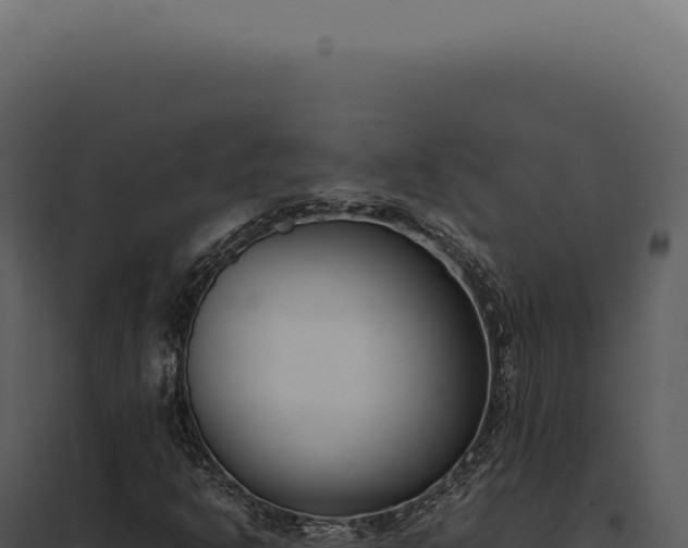 X0000097981302200804011735