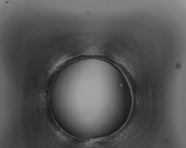 X0000097981304200804011735