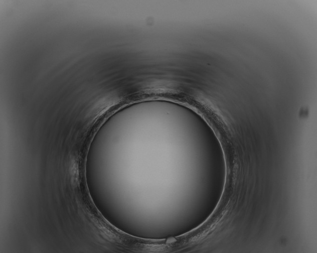 X0000097981305200804011735