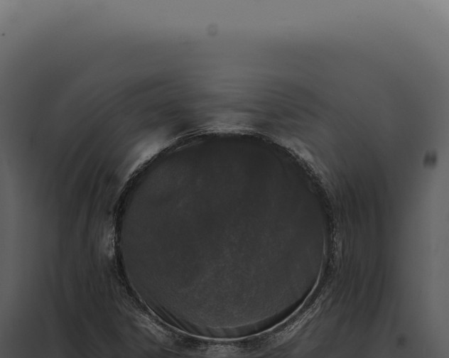 X0000097981306200804011735
