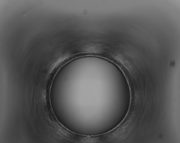 X0000097981307200804011735