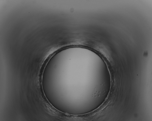 X0000097981308200804011735