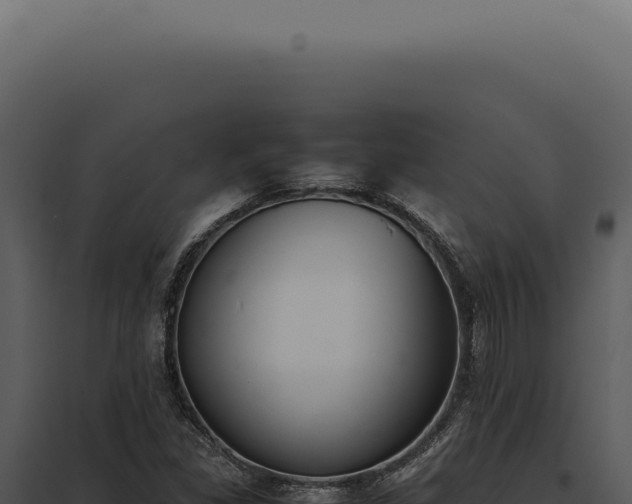 X0000097981309200804011735