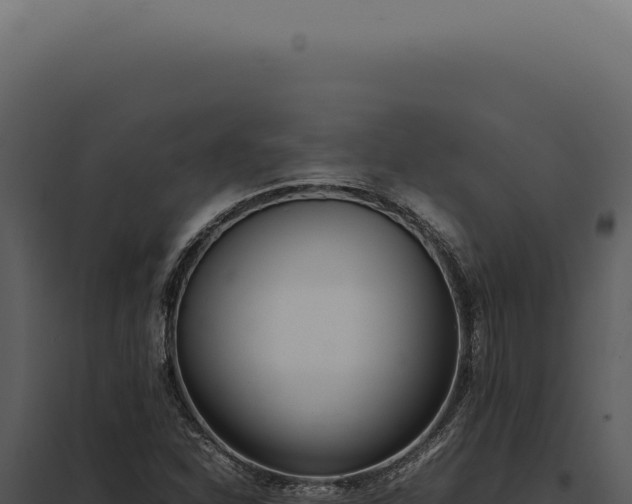 X0000097981310200804011735