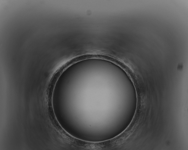 X0000097981311200804011735