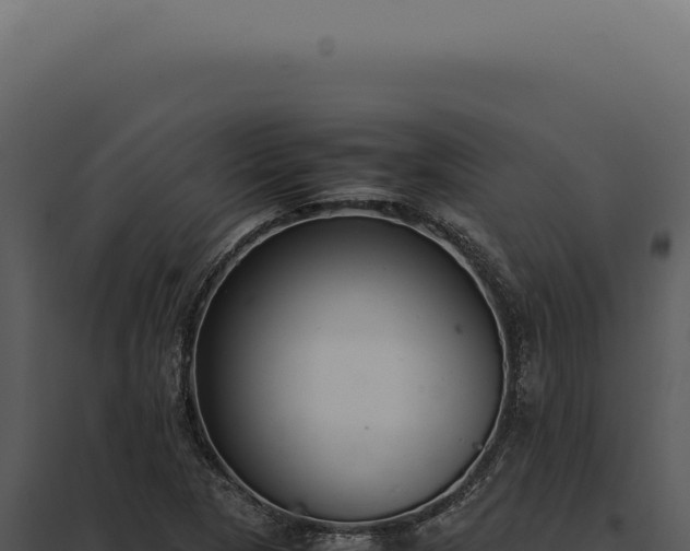 X0000097981313200804011735