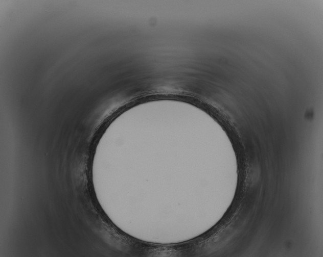 X0000097981314200804011735