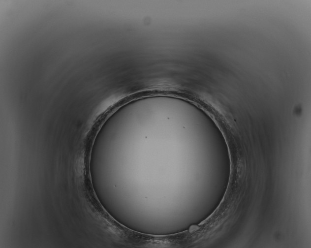X0000097981315200804011735