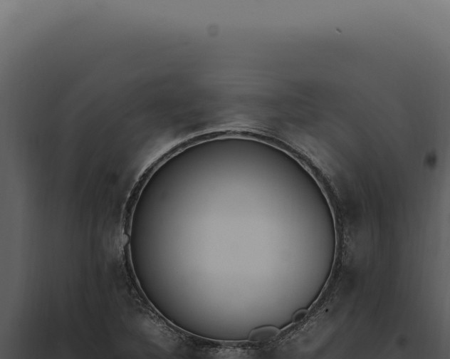X0000097981316200804011735