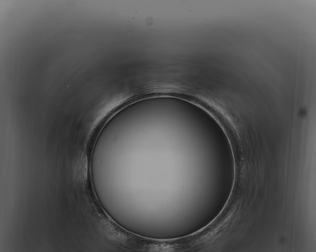 X0000097981317200804011735