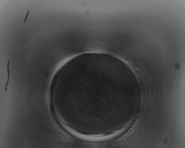 X0000097981319200804011735