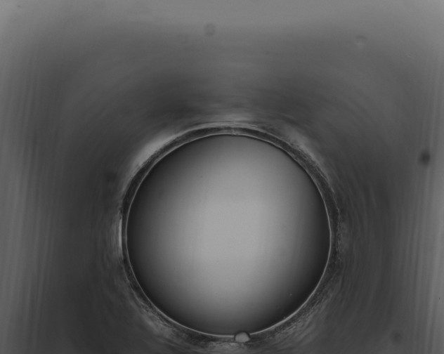X0000097981320200804011735