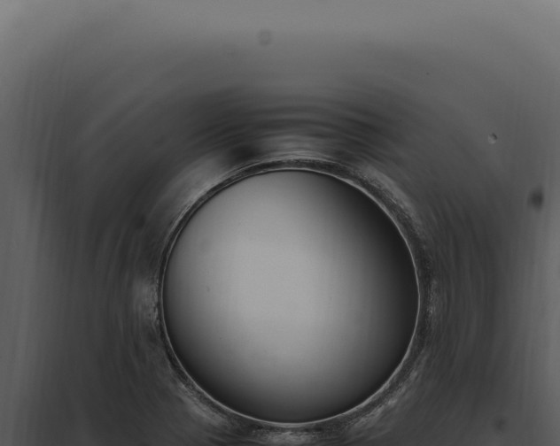 X0000097981321200804011735