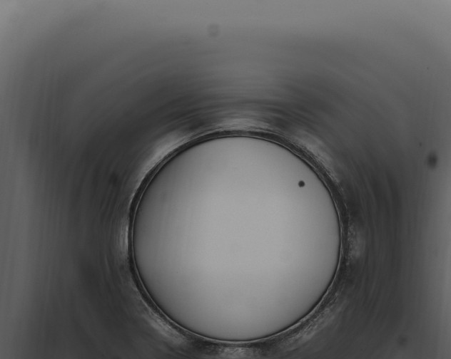 X0000097981322200804011735