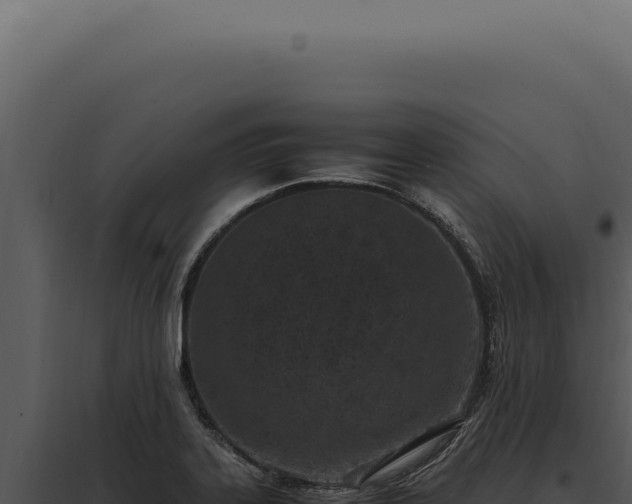X0000097981323200804011735
