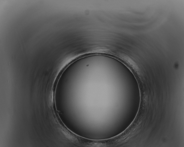 X0000097981324200804011735