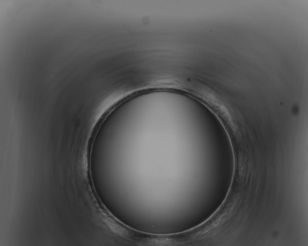 X0000097981328200804011735