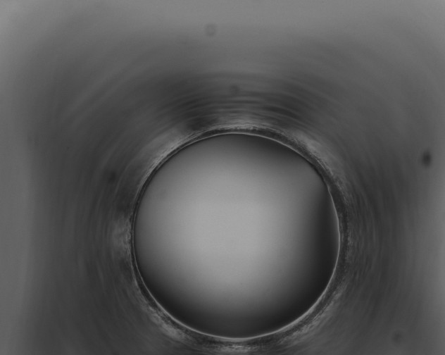 X0000097981329200804011735