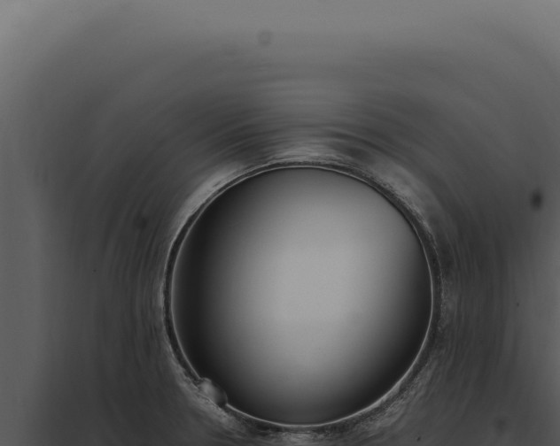 X0000097981330200804011735