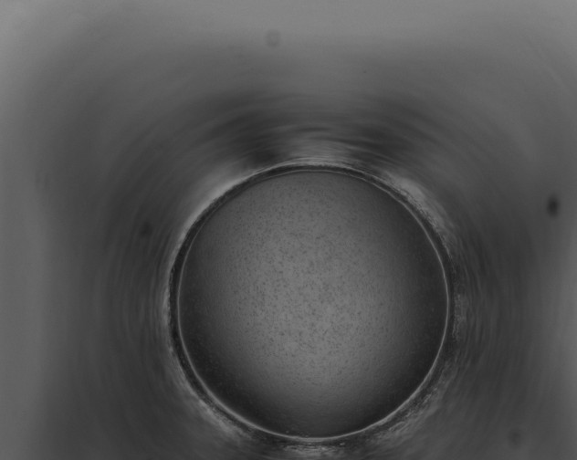 X0000097981331200804011735