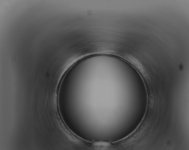 X0000097981332200804011735