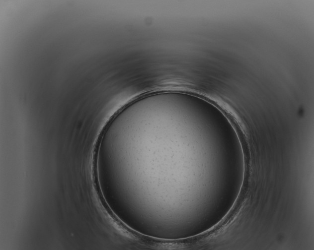 X0000097981333200804011735