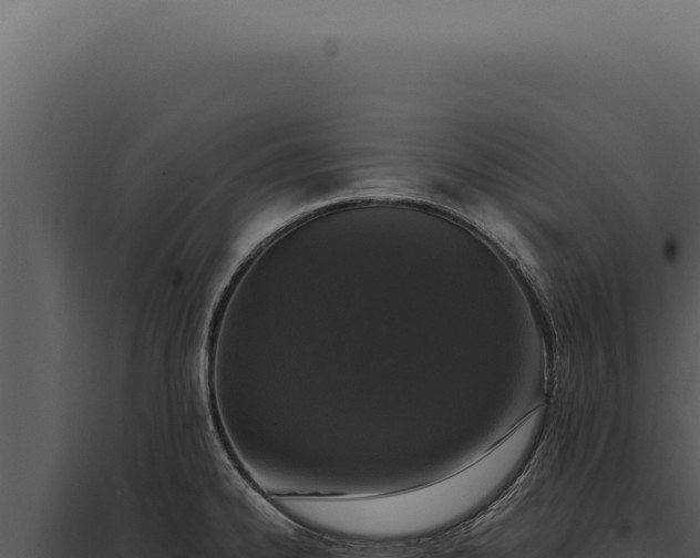 X0000097981334200804011735