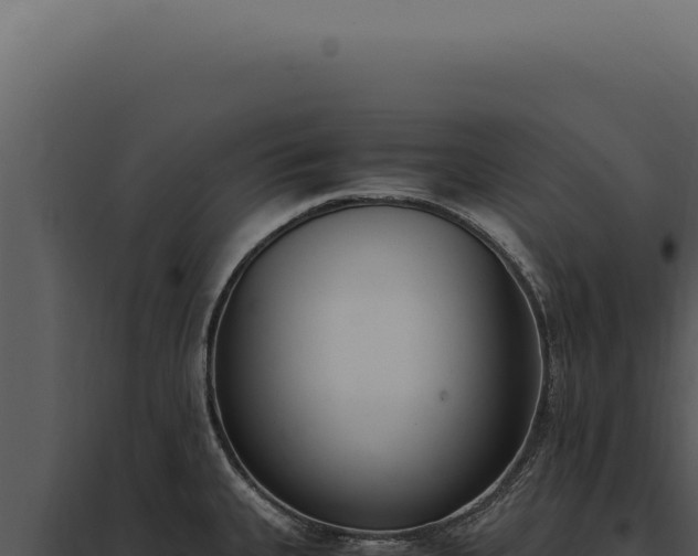 X0000097981335200804011735