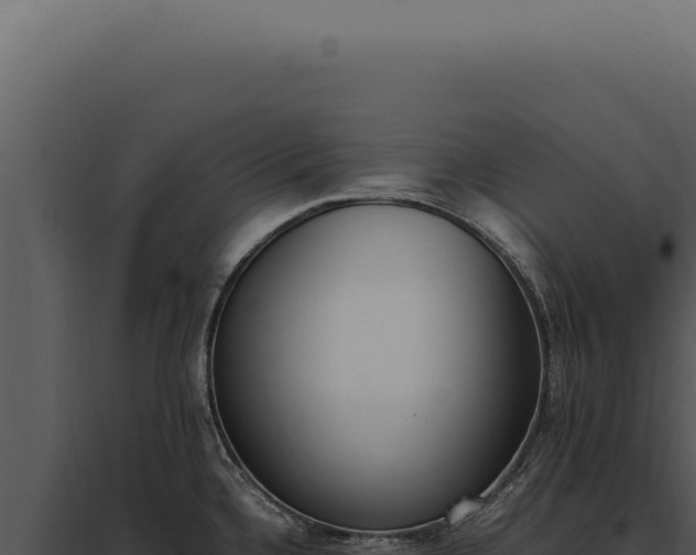 X0000097981336200804011735