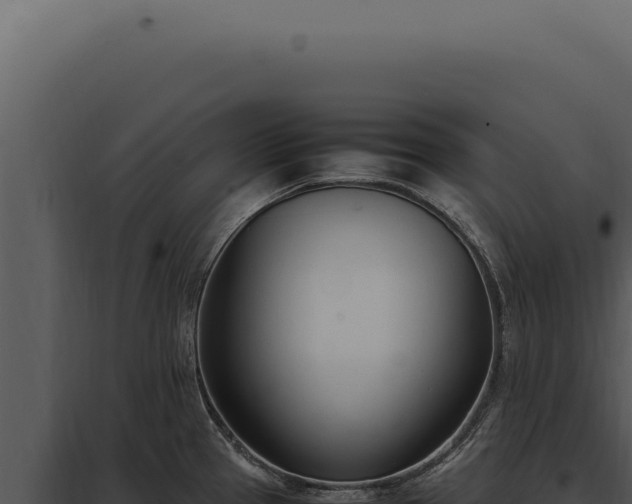 X0000097981337200804011735