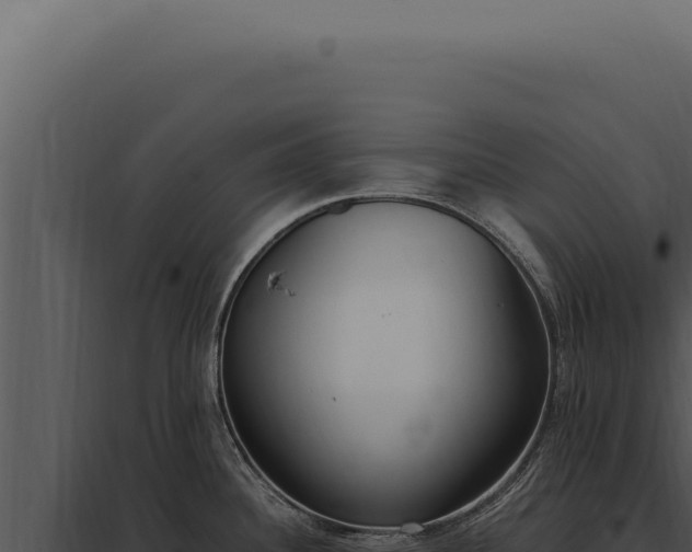 X0000097981340200804011735