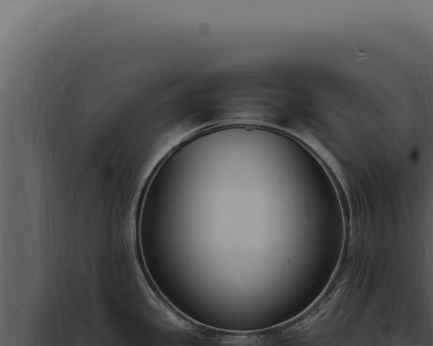 X0000097981341200804011735